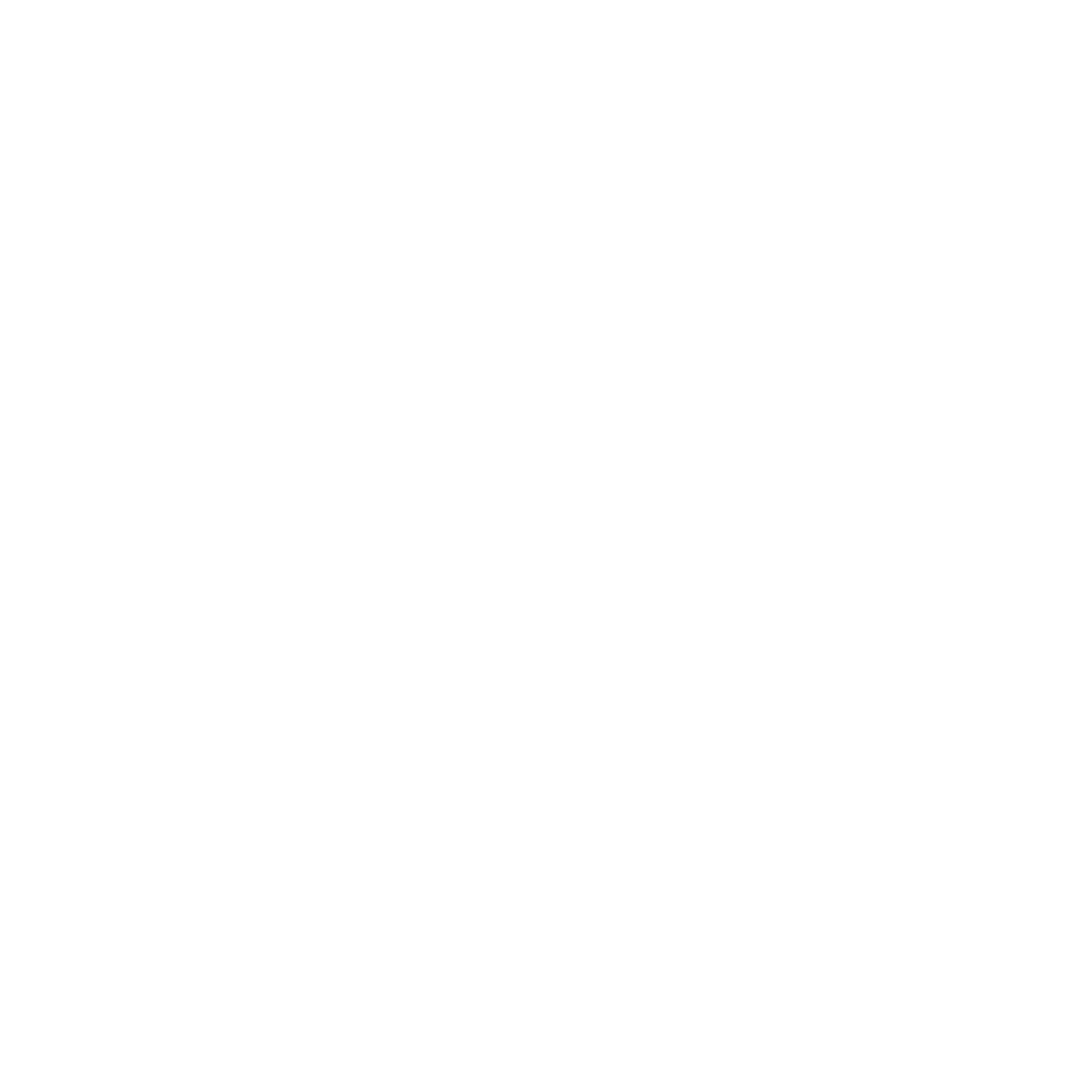 TIGER & DRAGON